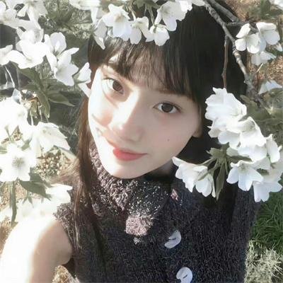 赛马娘第二季