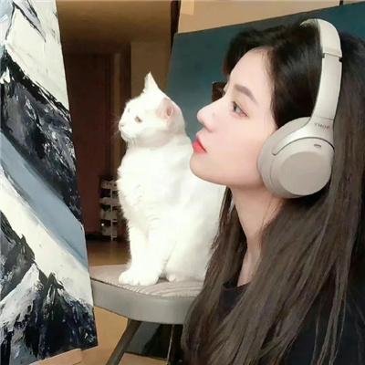 实习警犬物语
